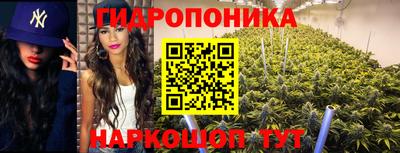 прущие грибы Азнакаево