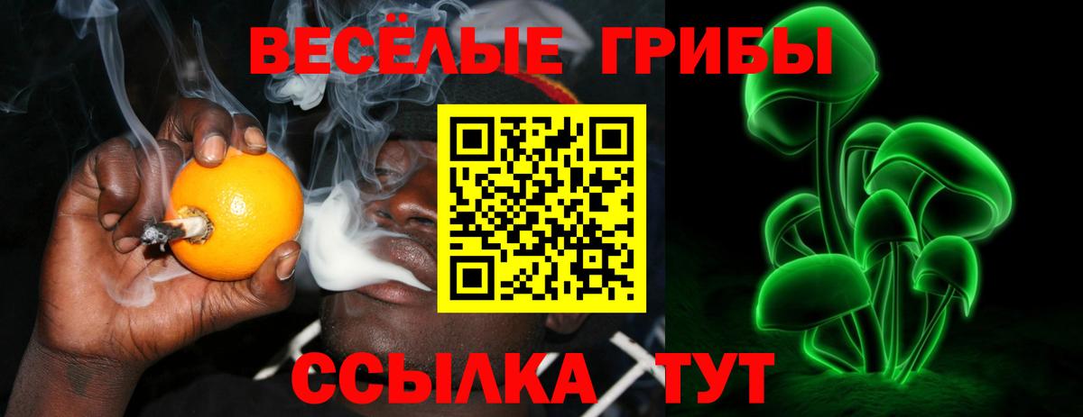 Галлюциногенные грибы MAGIC MUSHROOMS  Вход с VPN  Азнакаево 